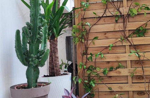 Cinecitta Apartment | My Little House