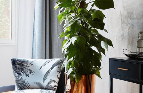Rione IV Campo Marzio Apartment | NAMAN HOTELLERIE - MARGUTTA BOUTIQUE HOTEL IN THE CENTER OF ROME