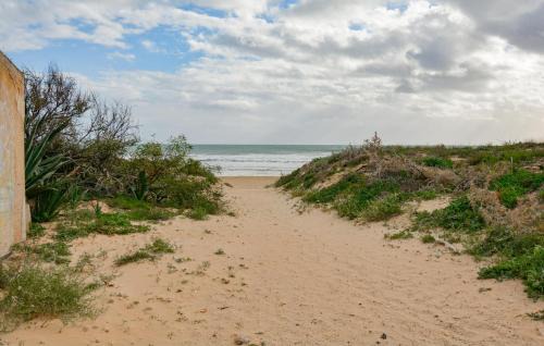 Caucana-finaiti-casuzze-finaiti Nord Apartment | Nice Apartment In Kaukana With Wifi