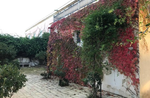 Marsala Villa | Nineteenth-century house with adjoining historic garden on the Stagnone of Marsala