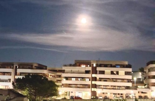 Zona XXXIII Acilia Sud Apartment | NUOVO Alloggio Giardino di Rosy tra Roma EUR e il Mare di Ostia