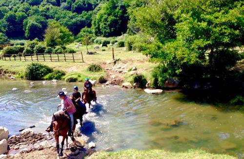 Manziana Other | OAK Glamping Relax