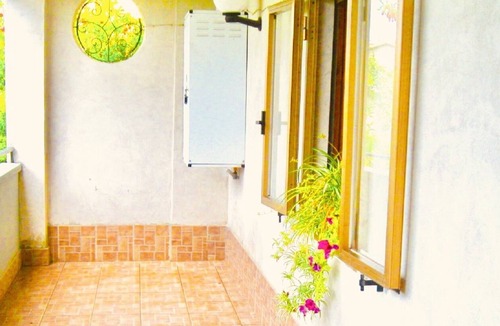 Torchiara Apartment | Olive tree room in the hills between orchards and olive groves between the sea and the National Park