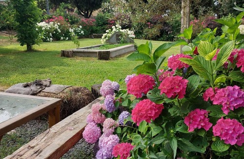 Marta House | Orto delle Fate