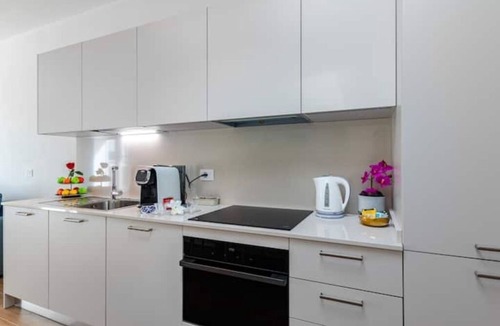 Pisa Apartment | Penthouse-view tower-new-solarium-1km center-park