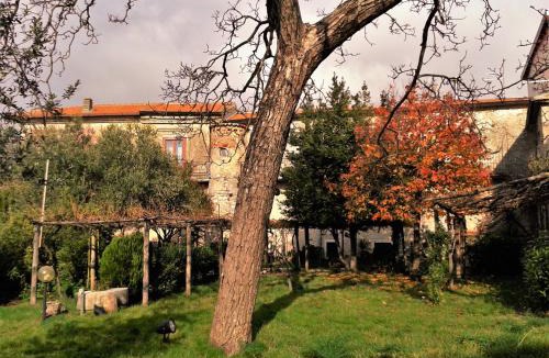 Trentinara Bed & Breakfast | PietrAnticA