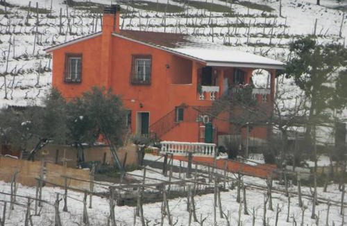 Frascati House | Poggio agli Ulivi vicolo di Colle Reti 22 Frascati
