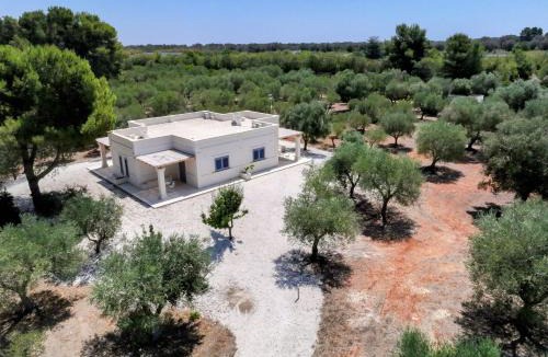 Sava House | Qui Mediterraneo