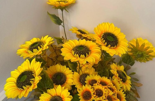 Arcavacata Bed & Breakfast | Raggio di Sole