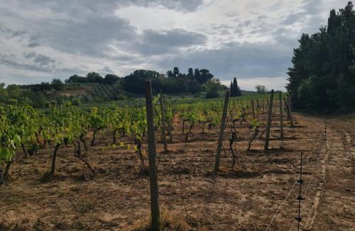 Peccioli House | Relais Podere Borgaruccio, Wine Resort and Restaurant
