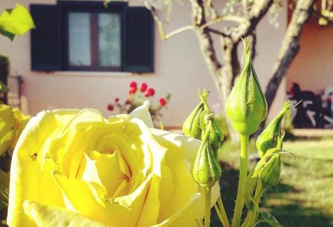 Manciano House | Residence Ai Campi Da Golf Saturnia