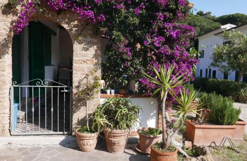 Morcone Apartment | Residence Augusto