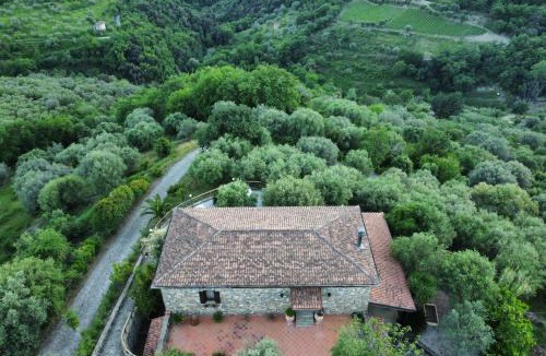 Pollica Bed & Breakfast | Ristolab - Ritiro Mediterraneo