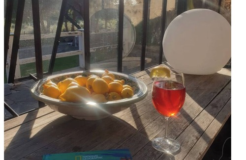 Capalbio Cottage | Rocket & Design Cottage House (Old Olive Trees), a farmhouse in the heart of the Maremma