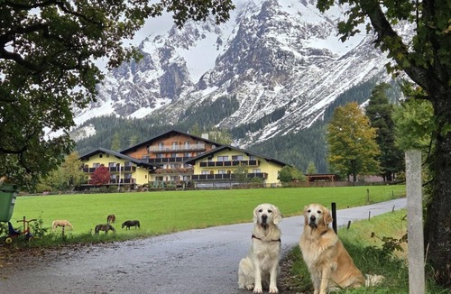 Ramsau am Dachstein House | Romantic room "Wasser" Shortstay, with shower, WC half board - Almfrieden Hotel &