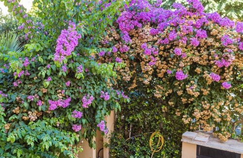 San Giovanni Apartment | RomAntica Family Apartment near San Giovanni