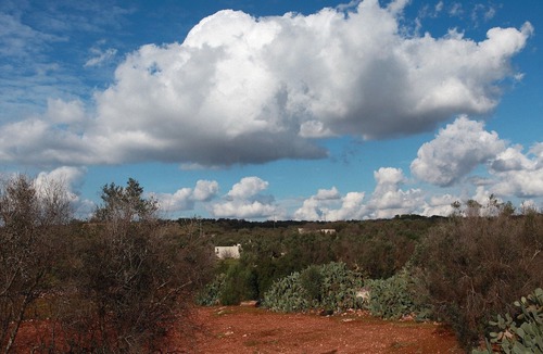 Posto Rosso House | Salento, ionian coast Gallipoli - Leuca (G1)