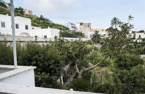 Ponza House | Salvatore 7