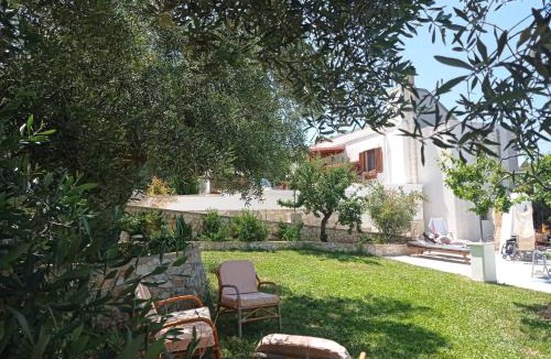 Monopoli House | Sammy