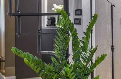 San Marco Apartment | San Marco View Terrace Apartment R&R