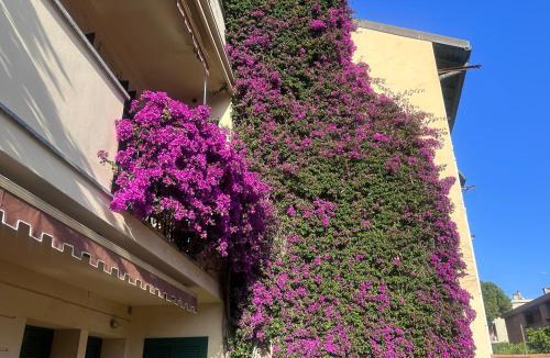Bordighera Apartment | Seaside