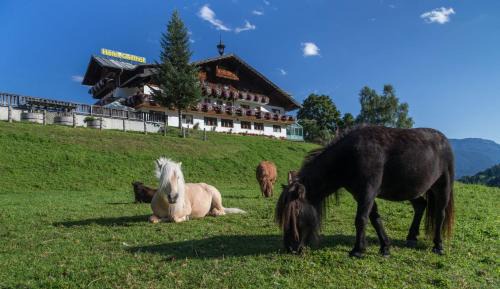 Rohrmoos-Untertal Hotel | Seiterhof