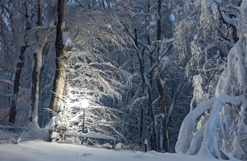 Micigliano Apartment | Sguardo nel bosco - Appartamento - Terminillo