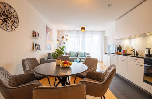 Basel City Centre Apartment | Special *EiNSTEiN II* Apartment