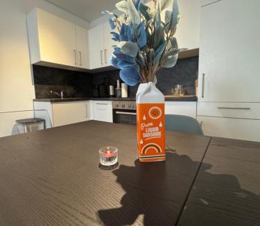 Geidorf Apartment | Studio University