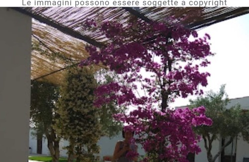 Rosa Marina Bed & Breakfast | Stunning room in ancient Masseria near the sea in a quiet olive trees.
