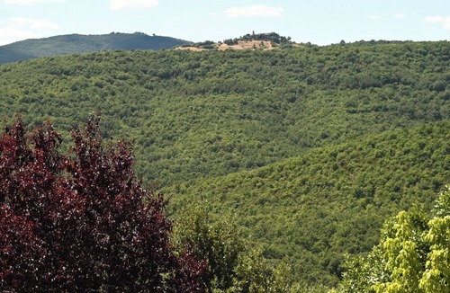 Teverina di Cortona Apartment | Stylish and sustainably furnished vacation apartment in the green heart of Umbria