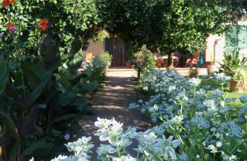 Lake Bracciano Bed & Breakfast | Tavernamici