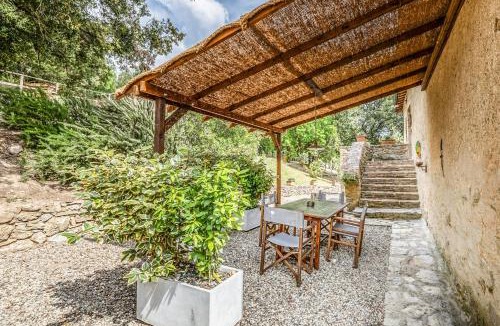 Monteroni d'Arbia Apartment | Tenuta della Selva - Castellaccio 7