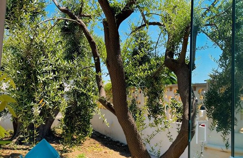 Polignano a Mare House | Tenuta Di Ruberto Polignano - Villa with Ancient Trulli, Sea View & Olive Garden
