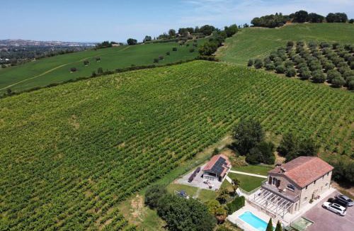 Monterado Villa | Tenuta Marino - Villa con Piscina Privata tra i Vigneti delle Marche