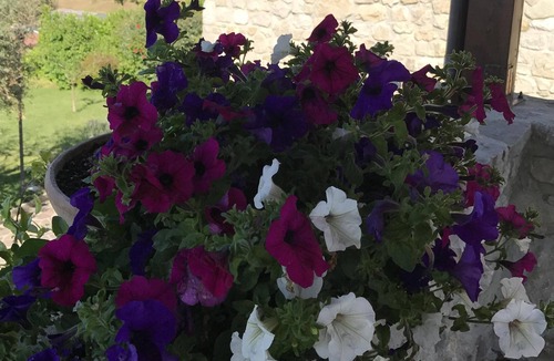 Montefalcione House | Tenuta Militerni