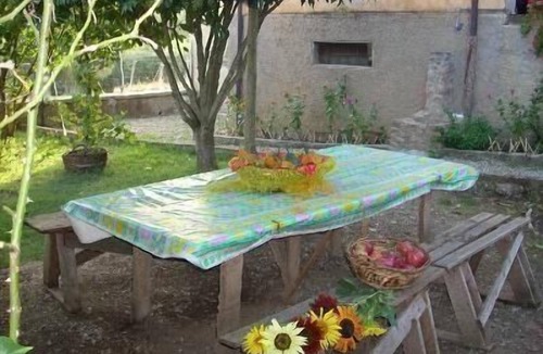 Montorsaio House | The 'Casina del Nespolo' estate