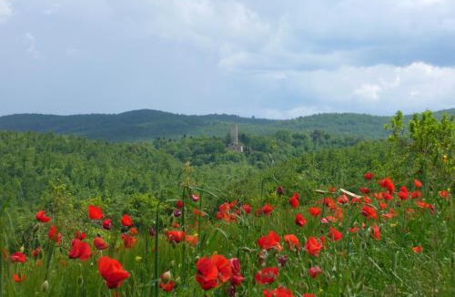 Monteroni d'Arbia House | Torre Di Sant'Ansano