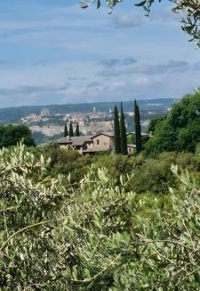 Orvieto House | Tra gli ulivi e il panorama