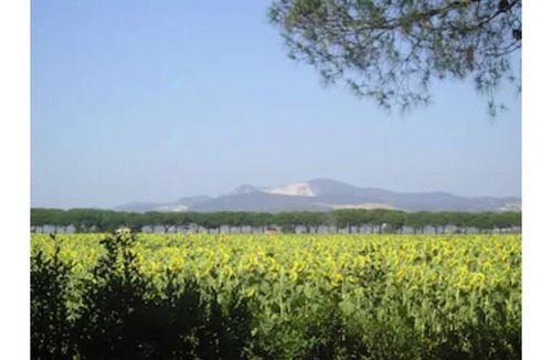 Piombino Apartment | Trilo2 - Holiday Home ETRUSCAN SEA Populonia Gulf of Baratti