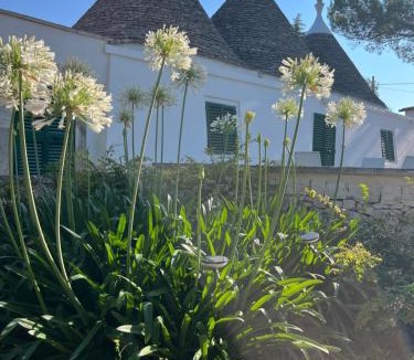 Noci House | Trulli Capomazza