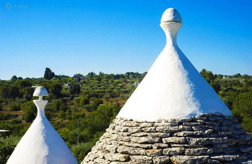 Putignano Villa | Trulli Life