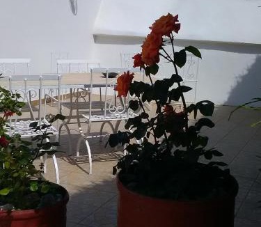 Noci Apartment | Trulli Sarmenzanello
