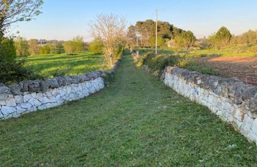 Martina Franca House | Trullo Raimondo