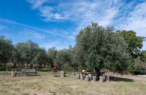 Montefiascone Apartment | Tuscia Holidays