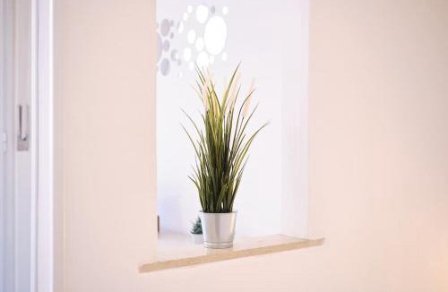 Cinecitta Apartment | Tuscolana Blu Apartment - Grazioso Monolocale