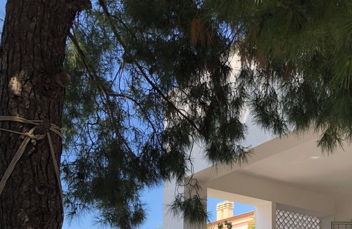 Torricella Villa | Villa Enza - 150 steps from the sea