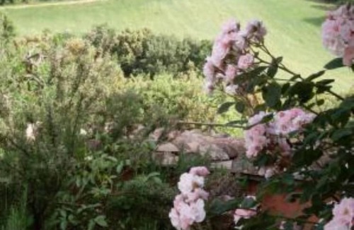 Narni House | Villa/Countryside house, in Umbria , close to Rome, Assisi, Perugia Florence