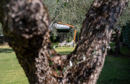 Viterbo Apartment | Villa dei Gelsomini, Residenza nel verde