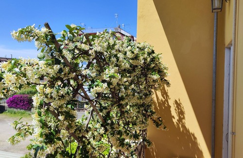 Formia House | Villa Giulia: elegant apartment a few steps from the sea.